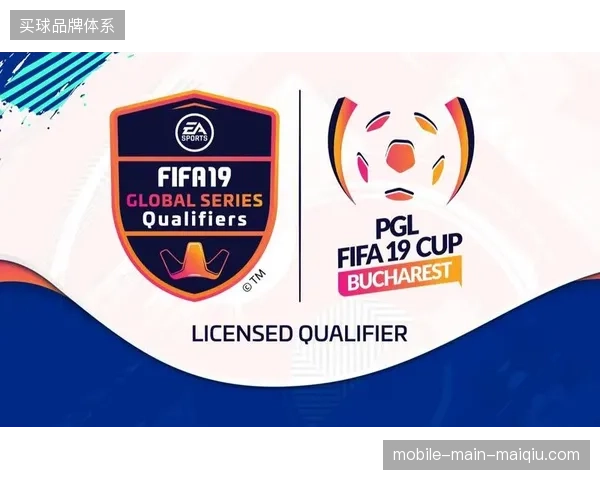 FIFA赛事后勤标准为何未能转化为地方体育会员消费刚需